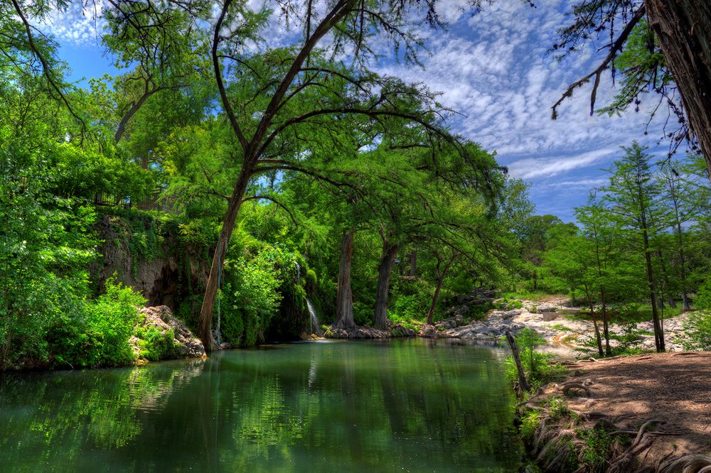 A lush Hill Country spring with cypress trees over a calm green pool