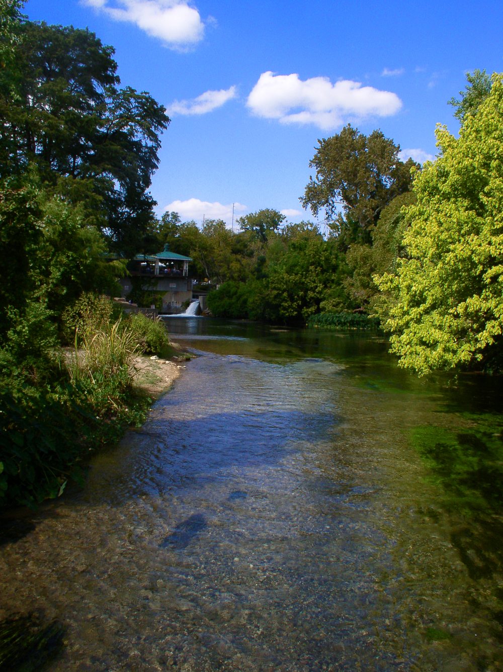 The clear, tree-lined San Marcos River