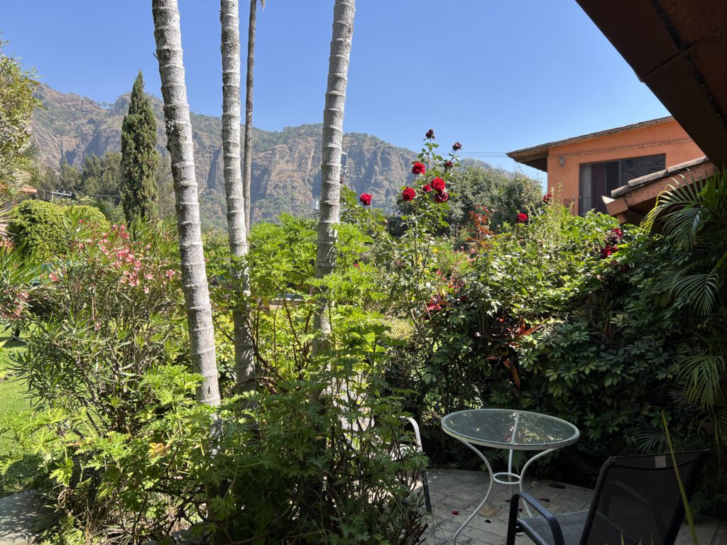 The garden in bloom beneath the cliffs of Tepoztlán