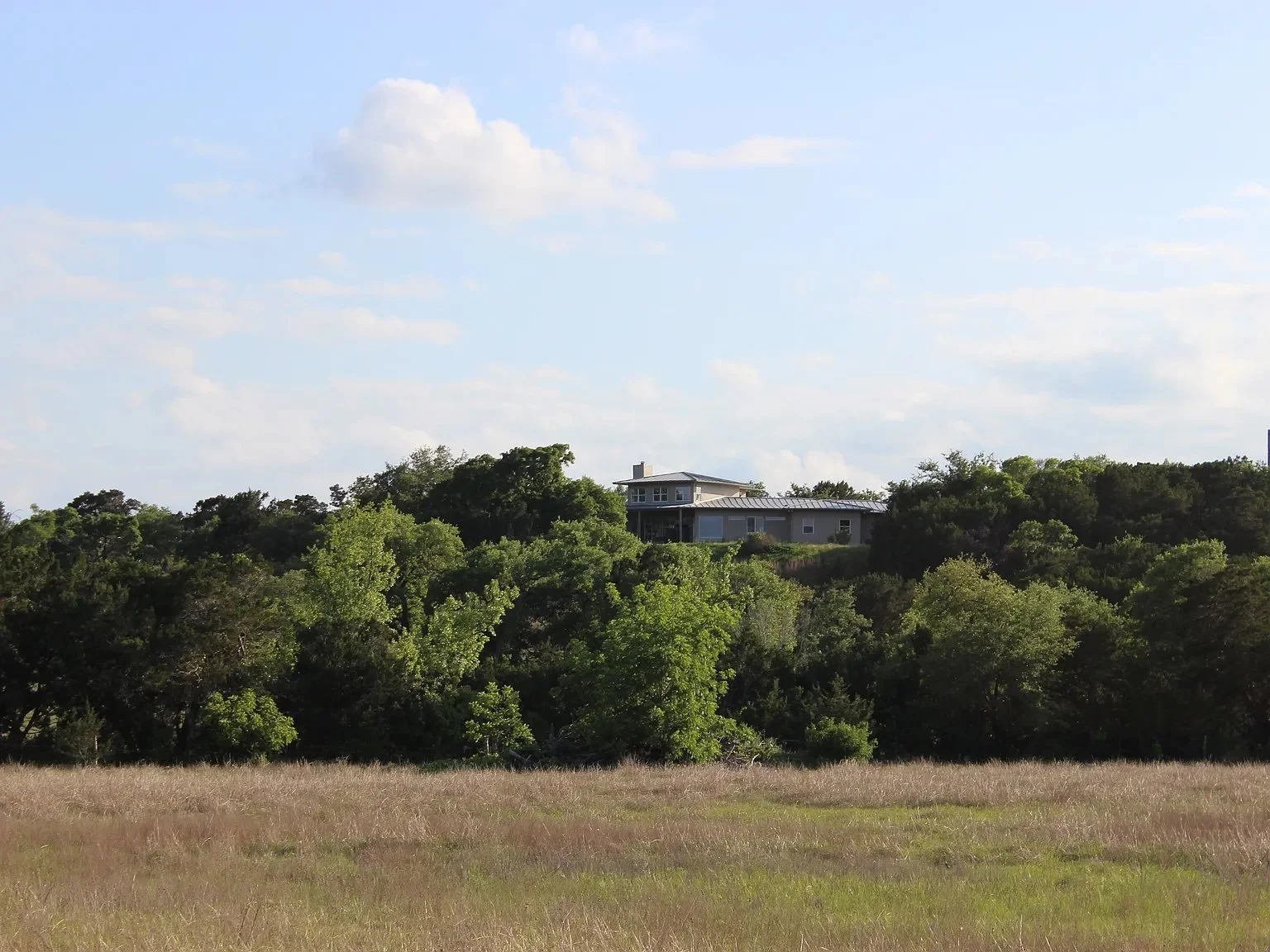 The Casa da Nova Vida house on its wooded hilltop above an open meadow