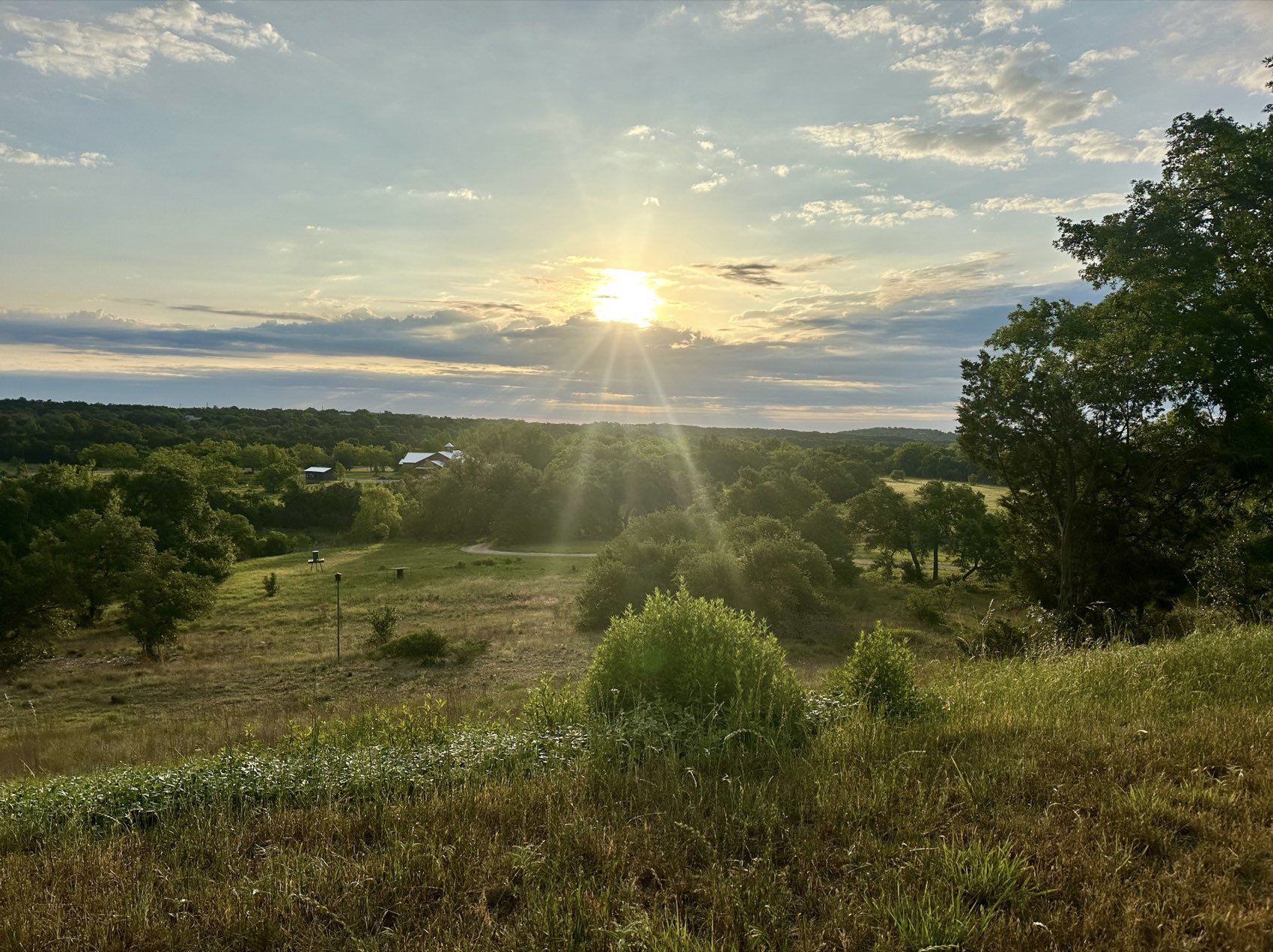 Golden-hour sun setting over the rolling Texas Hill Country