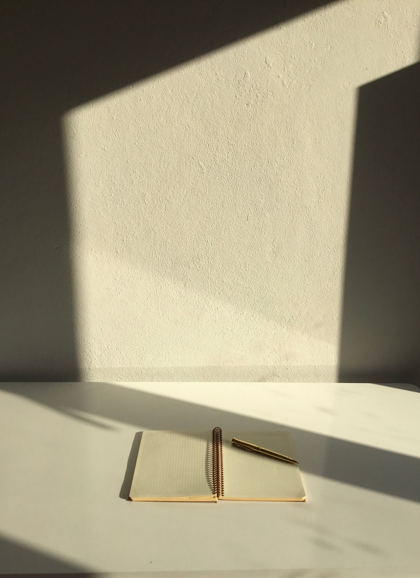 An open notebook and pen in warm window light